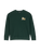 Racoon Sweatshirt in Scarab