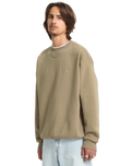 Single Stone Sweatshirt in Brindle
