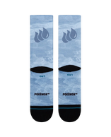 Blastoise Crew Socks in Blue