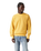 The Levi's® Mens Authentic Crewneck Sweatshirt Sweatshirt in Garment Dye Ochre