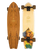 The Arbor Groundswell Sizzler 30.5" Skateboard in Multi