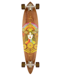 The Arbor Solstice B4BC Fish 37" Skateboard in Multi