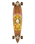 The Arbor Solstice B4BC Fish 37" Skateboard in Multi