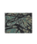 Freshness Wallet in Woodland Abstract Sea Spray