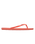 Viva IV Flip Flops in Camellia