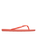 Viva IV Flip Flops in Camellia