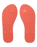Viva IV Flip Flops in Camellia