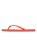 Viva IV Flip Flops in Camellia