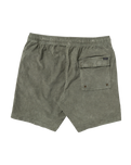 The RVCA Mens Escape Elastic Cord Walkshorts II in Sage Leaf