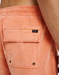 The RVCA Mens Escape Walkshorts in Tawny Orange