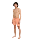 The RVCA Mens Escape Walkshorts in Tawny Orange