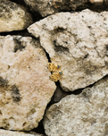 The Bahgsu Jewels Serpent Studs in 22kt Gold Vermiel