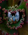 The Bahgsu Jewels Monarch Moon Necklace in Sterling Silver