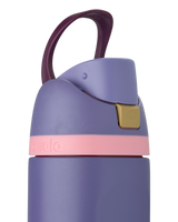 FreeSip® 24oz Bottle in Blue Jay