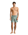 Classic Volley Shorts in Silver Pine