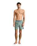 Classic Volley Shorts in Silver Pine
