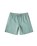 Classic Volley Shorts in Silver Pine