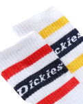 The Dickies Mens Genola Socks in White
