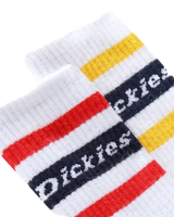 The Dickies Mens Genola Socks in White