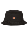 The Dickies Womens Clarks Grove Hat in Black