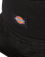 The Dickies Womens Clarks Grove Hat in Black