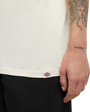 Enterprise T-Shirt in Whitecap Gray