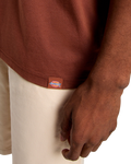 Companion Center Logo T-Shirt in Cappuccino