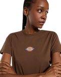Maple Valley Regular T-Shirt in Timber Brown