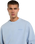 Plentywood Sweatshirt in Endless Sky
