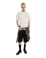 247 GD 13