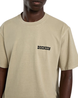 Darrtown T-Shirt in Eucalyptus