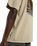 Darrtown T-Shirt in Eucalyptus