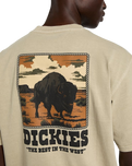 Darrtown T-Shirt in Eucalyptus