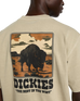 Darrtown T-Shirt in Eucalyptus
