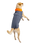Dog Dryrobe in Dark Grey & Orange