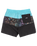 The Billabong Boys Boys Tribong LB Volley Shorts in Black