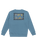 The Billabong Boys Boys Foundation Crew Sweatshirt in Glacier Blue