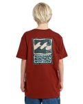 The Billabong Boys Boys Stamp T-Shirt in Brick