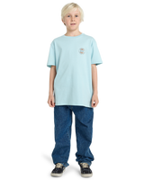 The Billabong Boys Boys Rotor Fill T-Shirt in Dusty Blue
