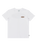 The Billabong Boys Boys Crayon Wave T-Shirt in White