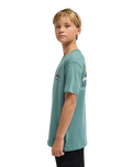The Billabong Boys Boys Adventure Division Range T-Shirt in Sagebrush