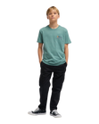 The Billabong Boys Boys Adventure Division Range T-Shirt in Sagebrush