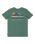 The Billabong Boys Boys Adventure Division Range T-Shirt in Sagebrush