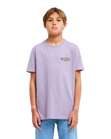 The Billabong Boys Boys Burn Out T-Shirt in Purple Ash
