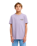 The Billabong Boys Boys Burn Out T-Shirt in Purple Ash