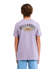 The Billabong Boys Boys Burn Out T-Shirt in Purple Ash