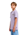 The Billabong Boys Boys Burn Out T-Shirt in Purple Ash