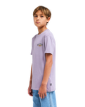The Billabong Boys Boys Burn Out T-Shirt in Purple Ash