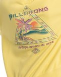 The Billabong Womens Retro Dreams Hoodie in Sunspell