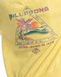 The Billabong Womens Retro Dreams Hoodie in Sunspell